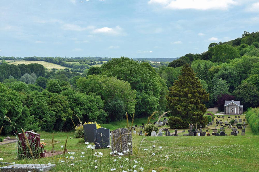 Choosing a Natural Burial Ground: Chesham Bois Natural Burial Ground - A Peaceful Resting Place in The Chilterns