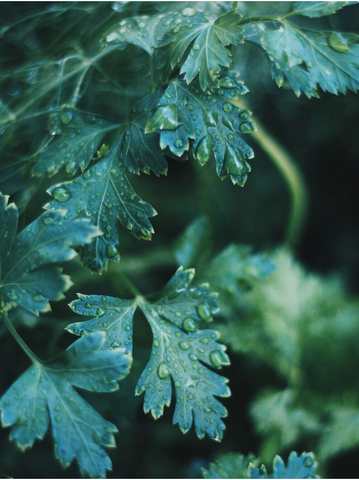 feature-row__image