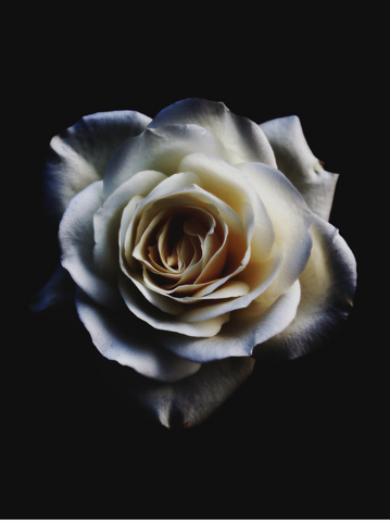 feature-row__image