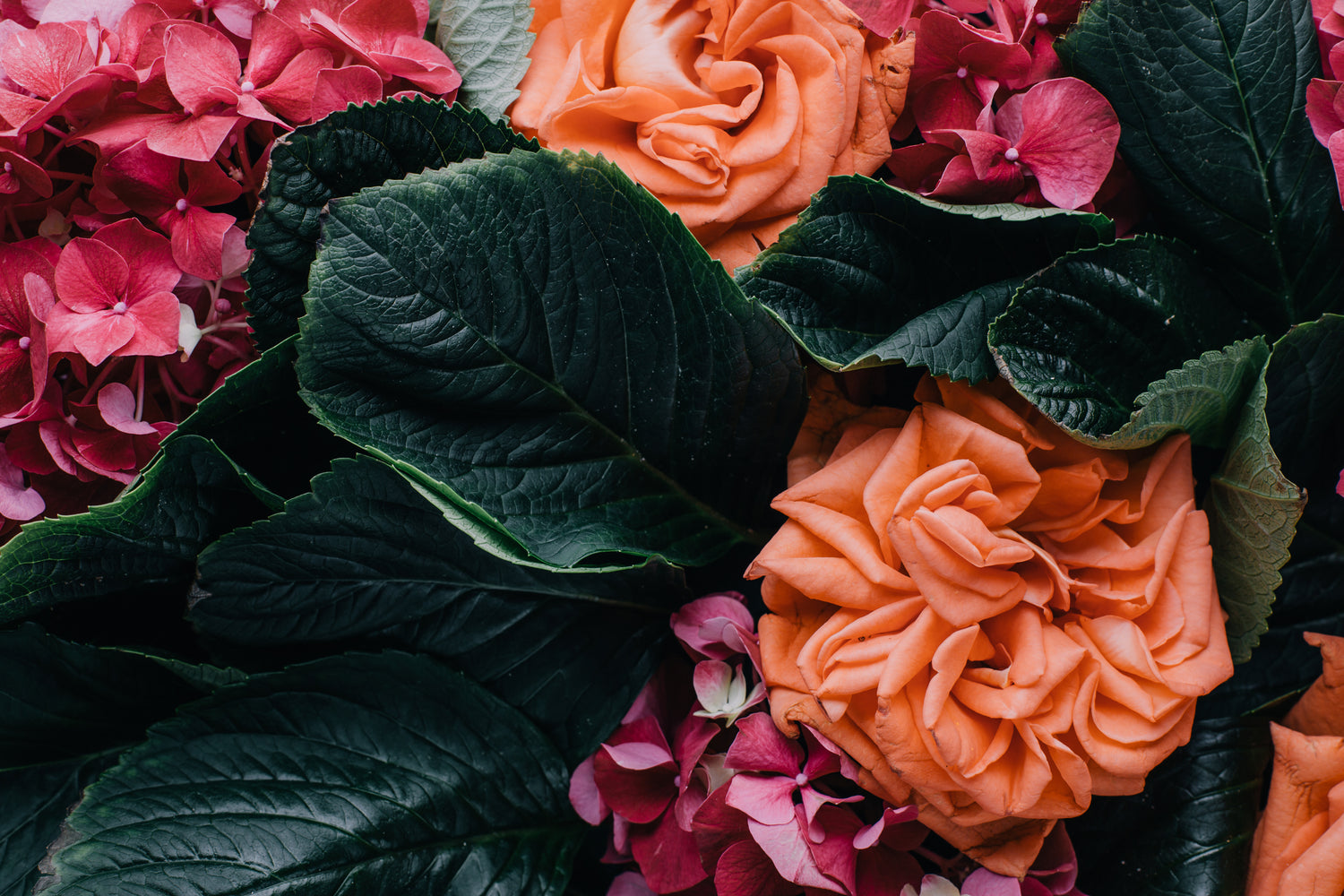 A Do-It-Yourself Funeral Guide - Willow