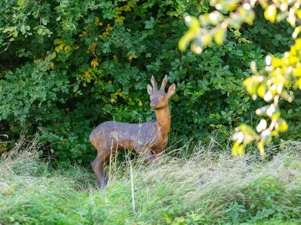 Choosing a Natural Burial Ground: Beech Wood Green Burial Ground - A Truly Harmonious Resting Place in Lincolnshire