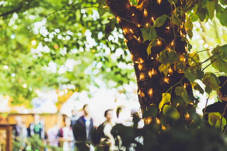 The Evolution of Cemeteries: The Rise of Natural Burial Grounds