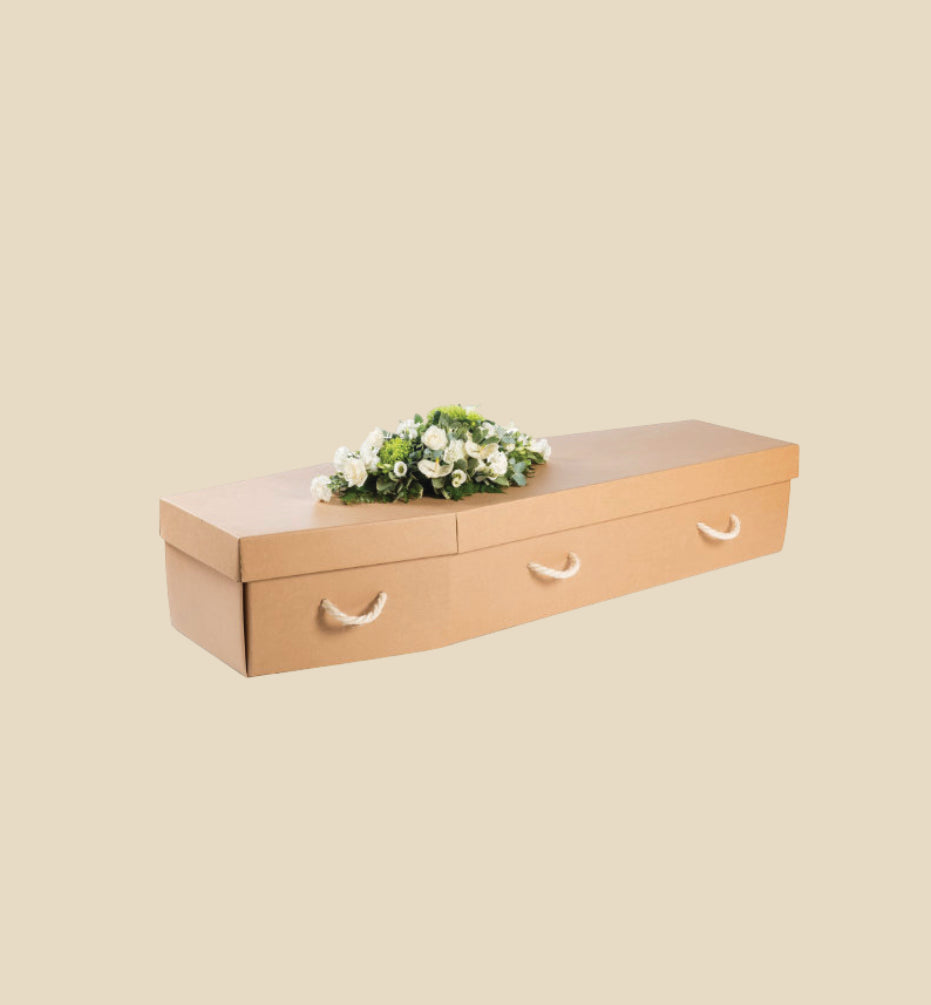 Contemplating a cardboard coffin? The Complete UK Guide Update for 2026