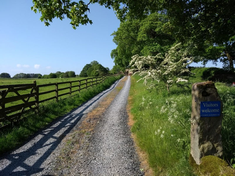 Choosing a Natural Burial Ground: Brocklands Burial Ground - Triple Award Winning Burial Ground   set in the green vales of North Yorkshire.