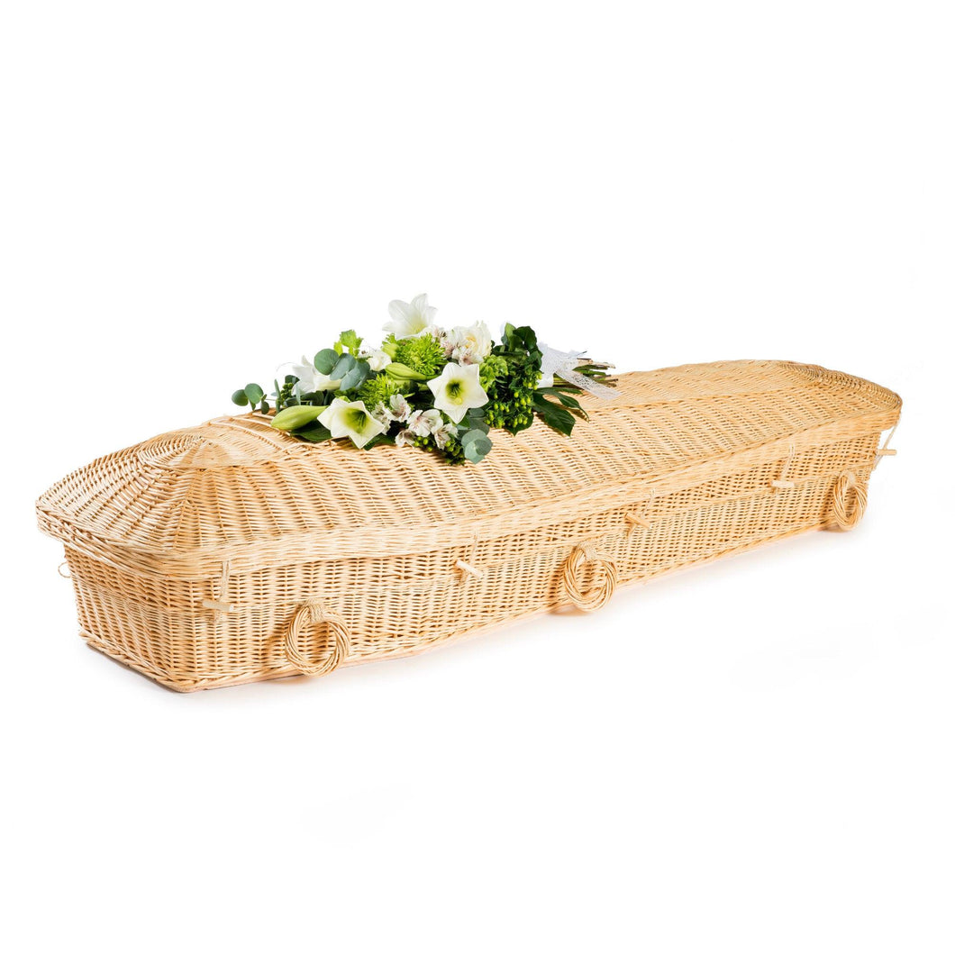 White Willow Pod Coffin - Free Delivery, thinkwillow.com