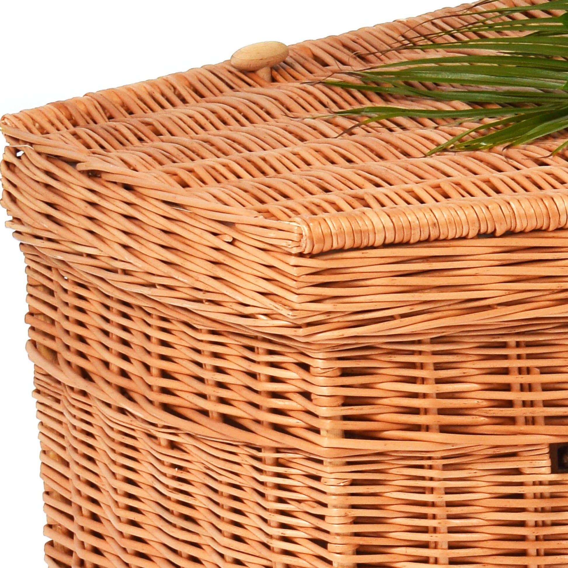 Willow Eco2 Coffin Image Lid