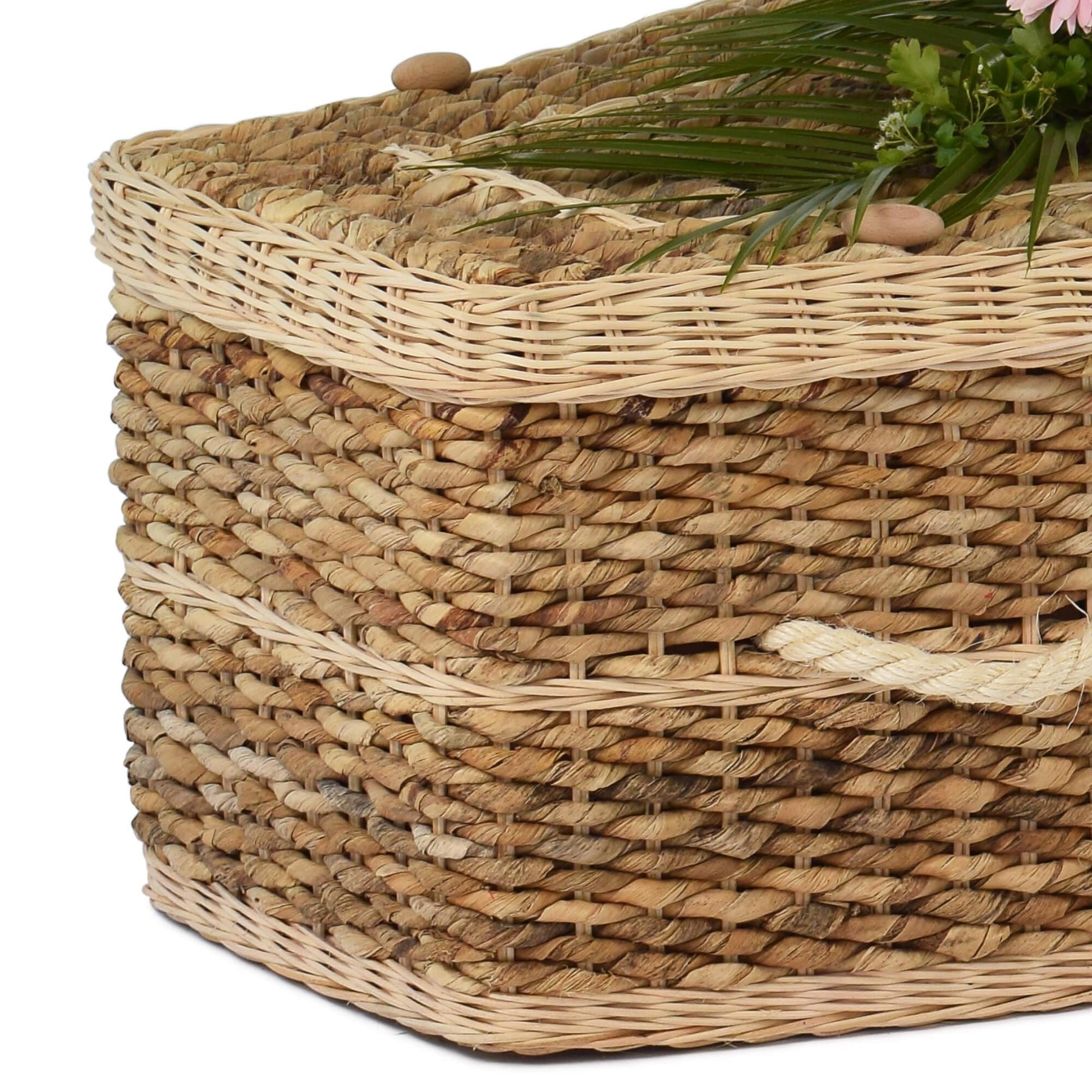 Banana Eco Coffin Lid