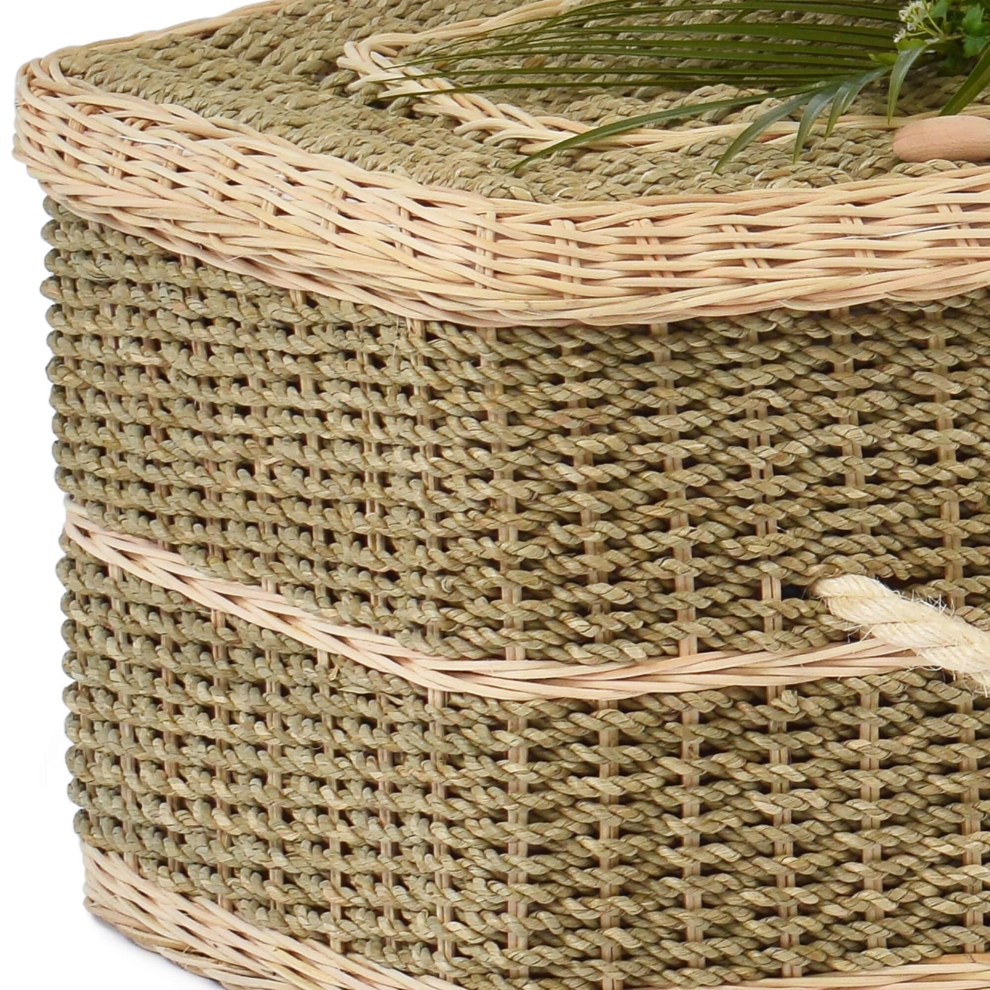 Pandanus Ringlemere Coffin Lid