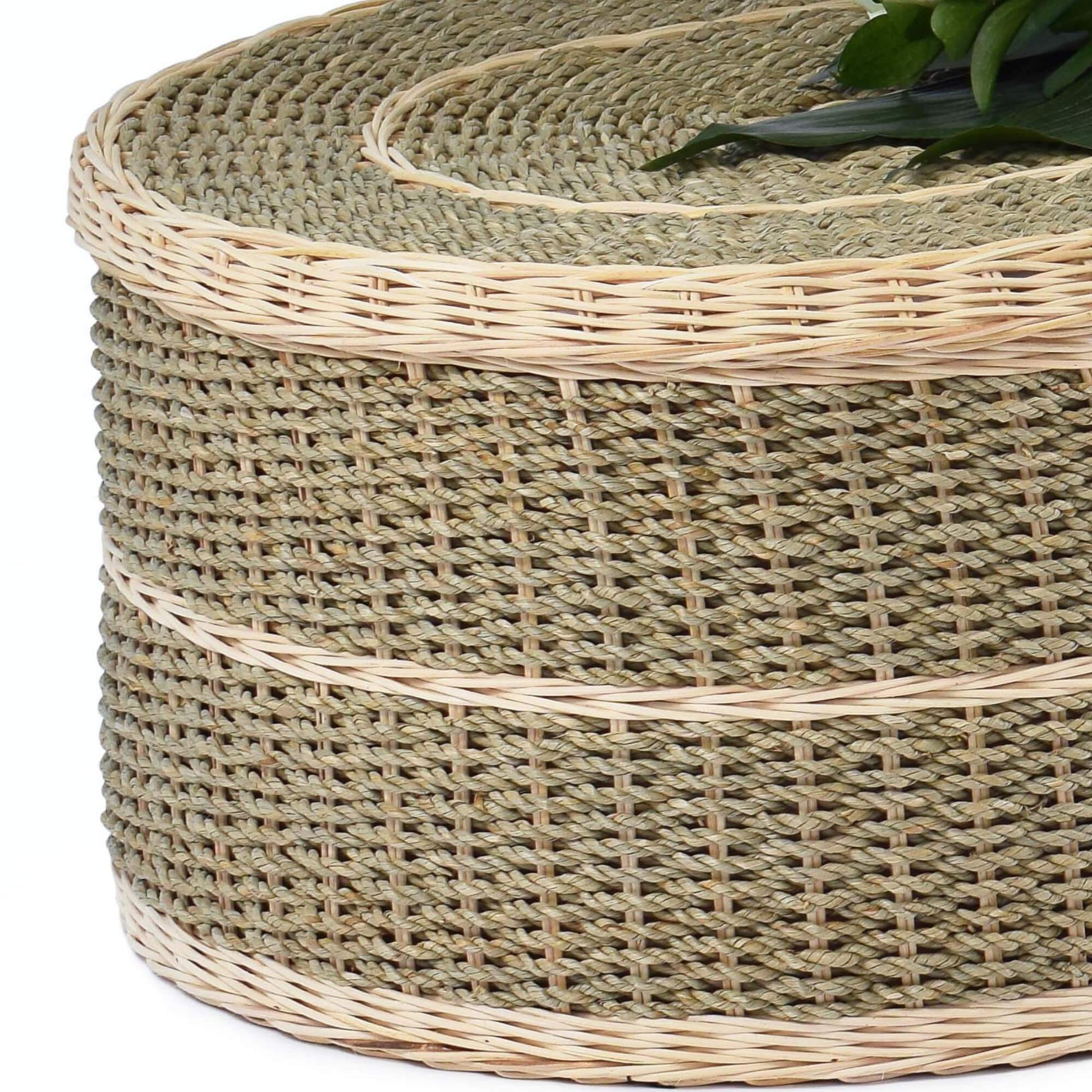 Pandanus Oatydown Rounded Coffin Lid